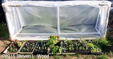 Cold frame fully open