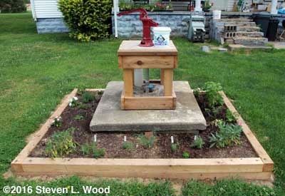 Shallow well pump and herb garden