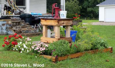 Herb garden on August 1, 2016