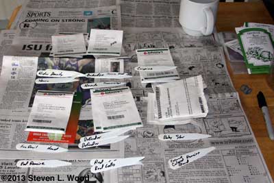 Organizing lettuce planting