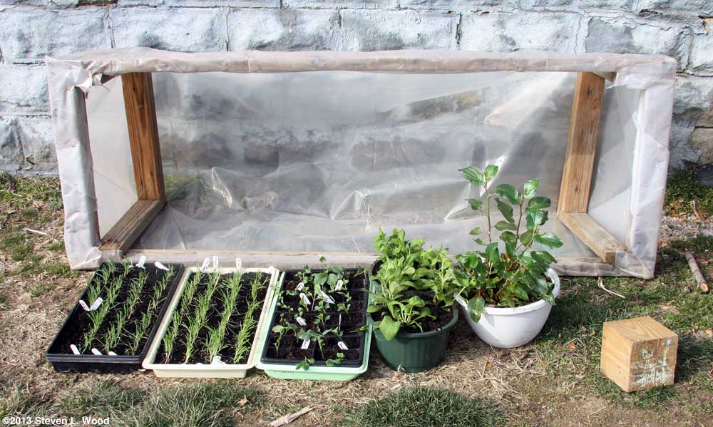 Cold frame