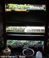 Plant rack