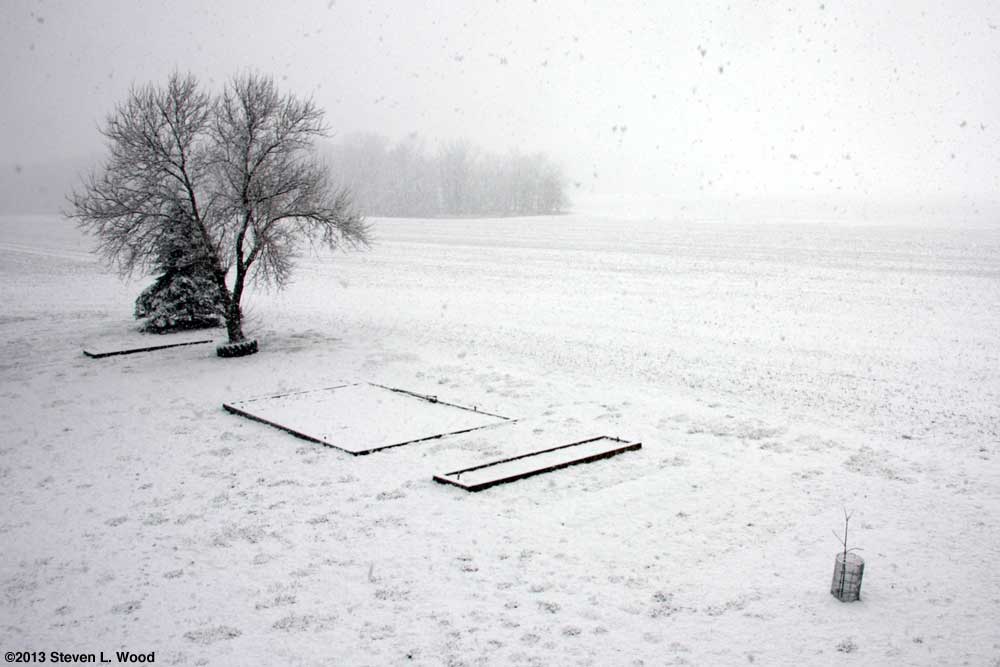 Our Senior Garden - 3/24/2013