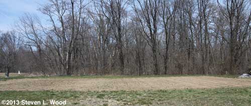 East Garden after first tilling