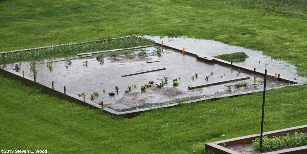 Standing water in garden