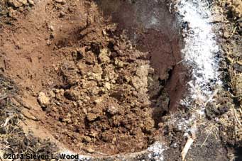 Peat, lime, fertilizer added