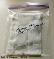 Bagged germination test