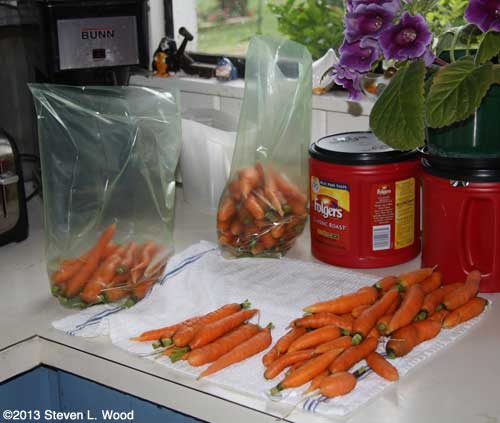 Bagging carrots