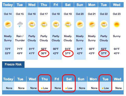 Weather Channel Ten Day Forecast