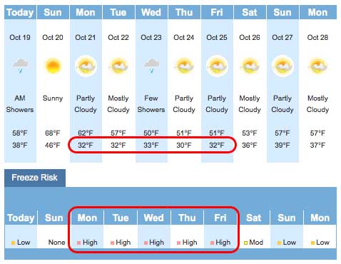 Weather Channel 10-day Garden Forecast