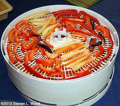 Paprika peppers in dehydrator