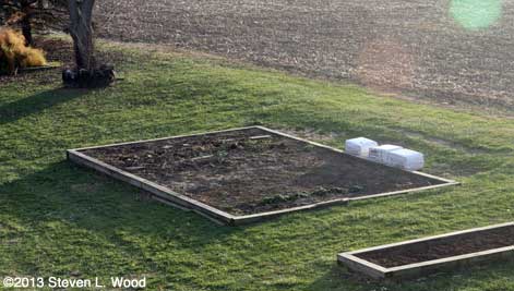 Main raised bed - November 24, 2013