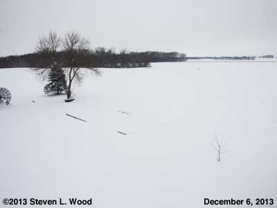The Senior Garden - December 6, 2013