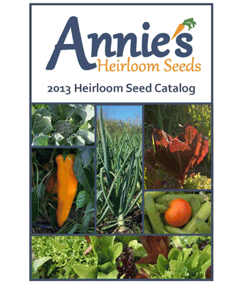 Catalog Cover Animated Gif