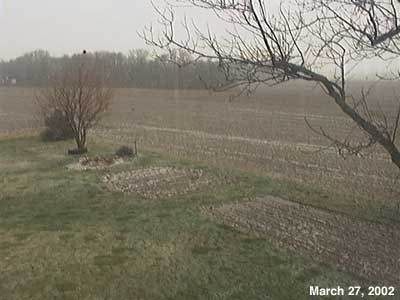 The Senior Garden - March 27, 2002