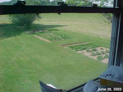 The Senior Garden 2003