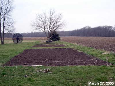 Plots A, B, C, & D in 2005