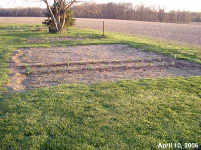 Plot B - April 10, 2006