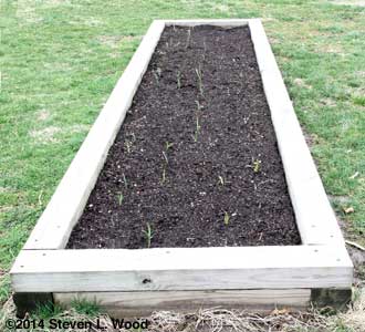 2010 Narrow Raised Bed