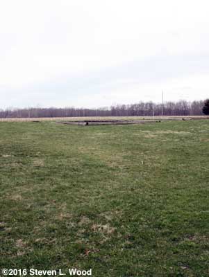 Yard sloping down from main raised bed