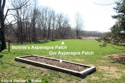 Location of asparagus patches