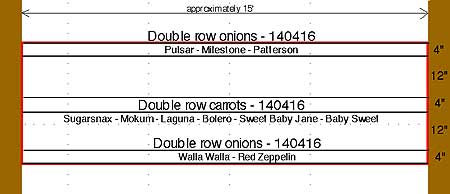 Plot B Onions & Carrots