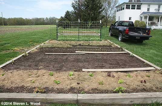 The Senior Garden - April 29, 2014