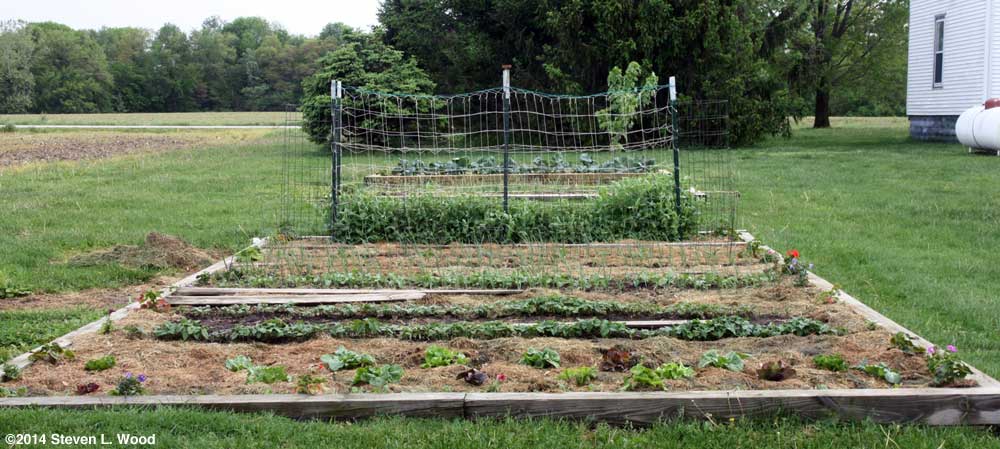 Main raised garden bed