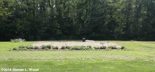 Corn plot before tilling