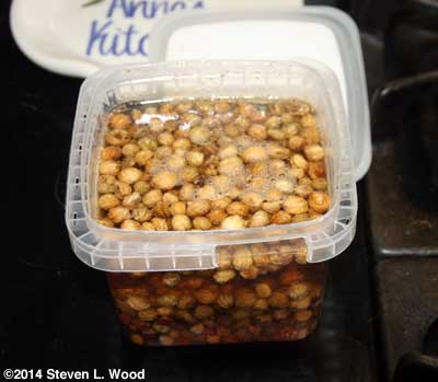 Soaking nasturtium seed