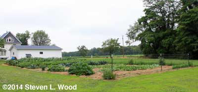 East Garden - June 30, 2014
