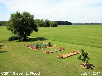The Senior Garden - July 1, 2014
