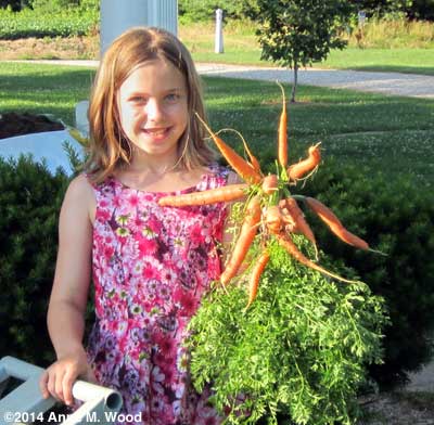 Kat and carrots