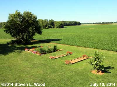 The Senior Garden - July 10, 2014