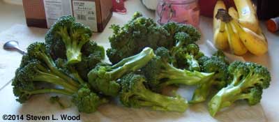 Cleaned broccoli