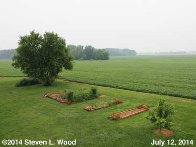 The Senior Garden - July 12, 2014