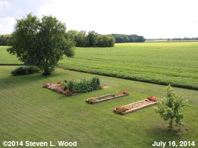 The Senior Garden - July 16, 2014