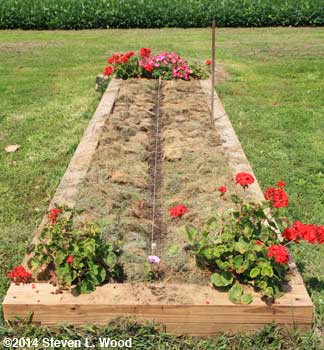 Mulch returned beside planted row