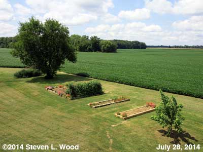 The Senior Garden - July 28, 2014