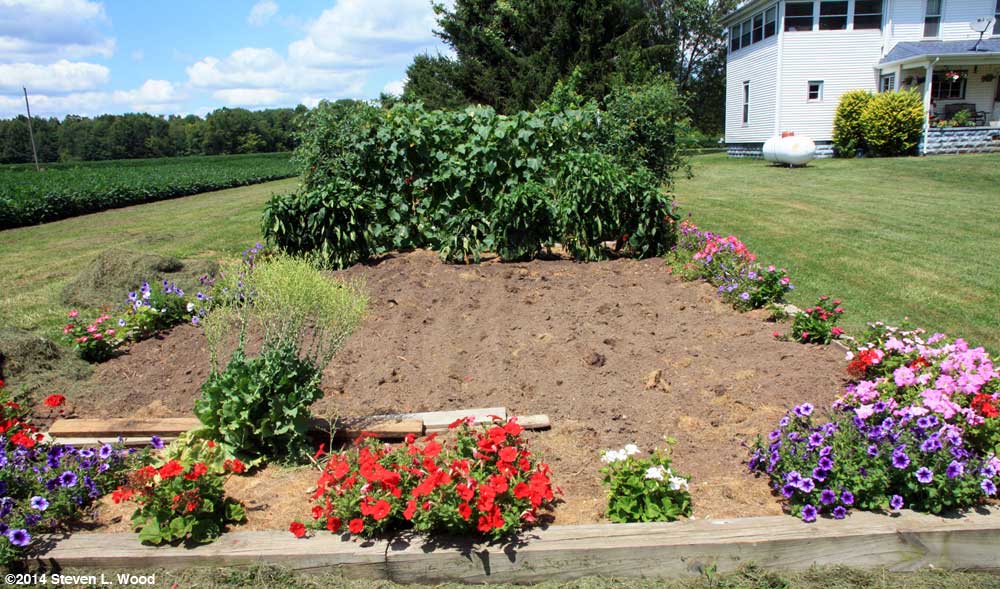 Main bed tilled