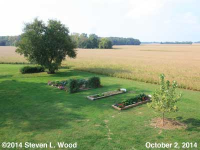 A Shaded Senior Garden - October 2, 2014