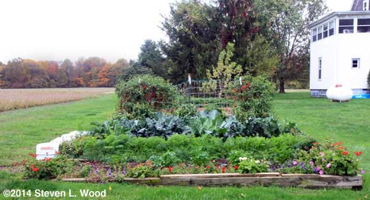 Main garden viewed from south to north