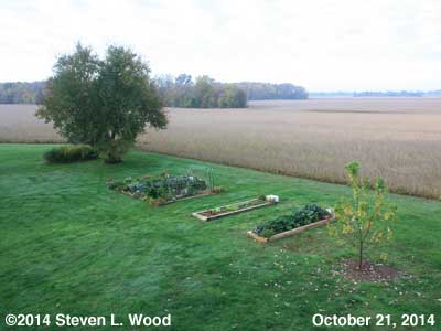 The Senior Garden - October 21, 2014