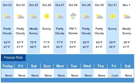 The Weather Channel 10-Day Garden Forecast