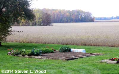 Main raised bed half cleared