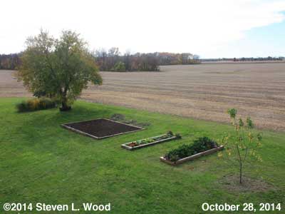 The Senior Garden - October 28, 2014