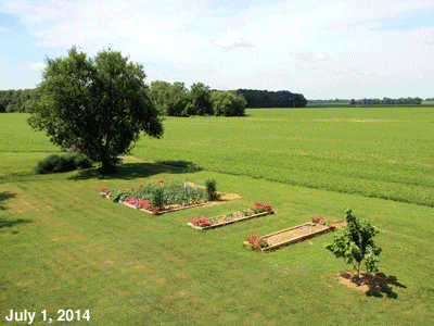 July, 2014 - animated GIF