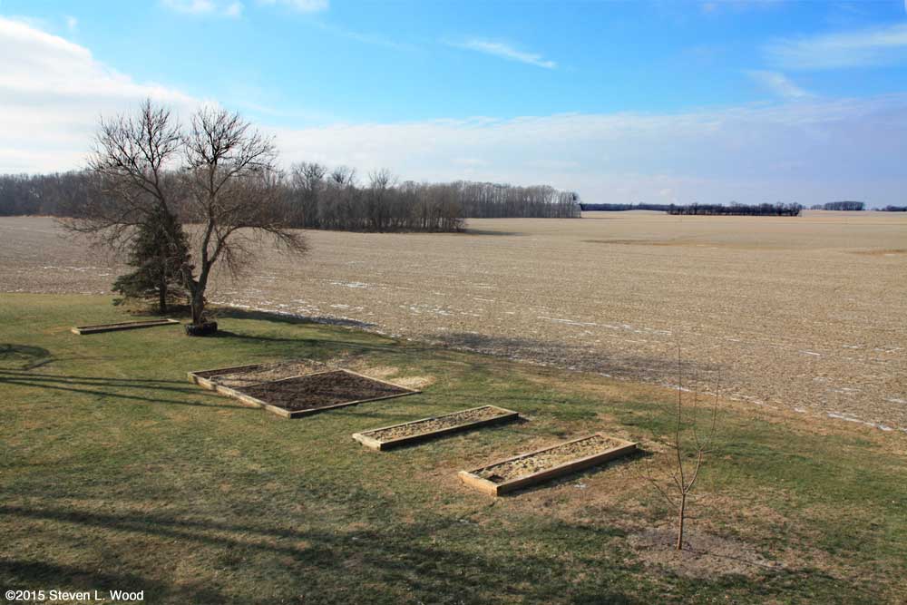 Our Senior Garden - January 14, 2015