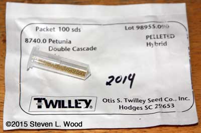 Closeup of pelletized petunia seed