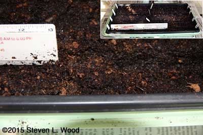 Labeled furrows in tray